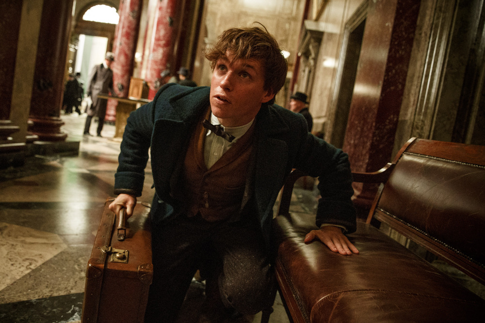 (C) 2016 Warner Bros. Ent.  All Rights Reserved.Harry Potter and Fantastic Beasts Publishing Rights (C) JKR.