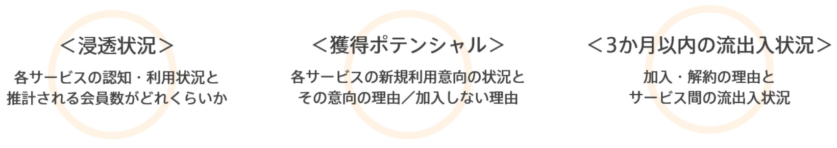 定額制動画配信サービス ブランド・ロイヤリティ調査の特徴
